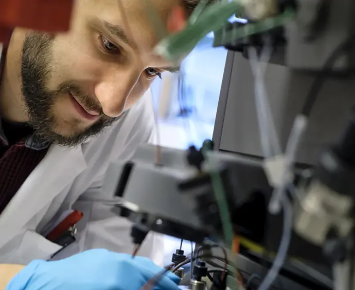 Nya steg mot DNA-kodade cellfabriker som tillverkar skräddarsydda material
