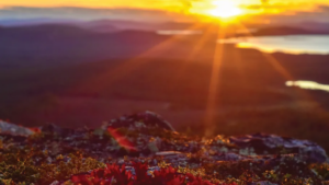 Pulsen Omsorg tecknar avtal med Norrbottens 14 kommuner