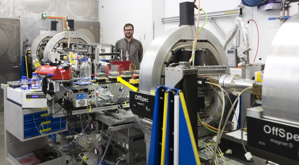 Neutroner ger unik inblick i programmerad celldöd
