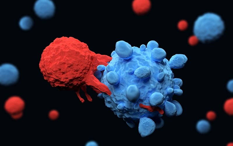 Neogap förvärvar TCER Oncology AB och stärker sin position inom individanpassad immunterapi Neogap förvärvar TCER Oncology AB och stärker sin position inom individanpassad immunterapi