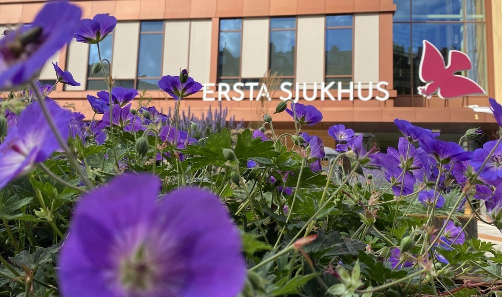 Nytt toppmodernt sjukhus har öppnats i Stockholm