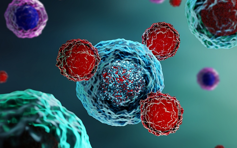 Neogap tilldelas Eurostars-finansiering för att utveckla analys av T-cellsaktivitet