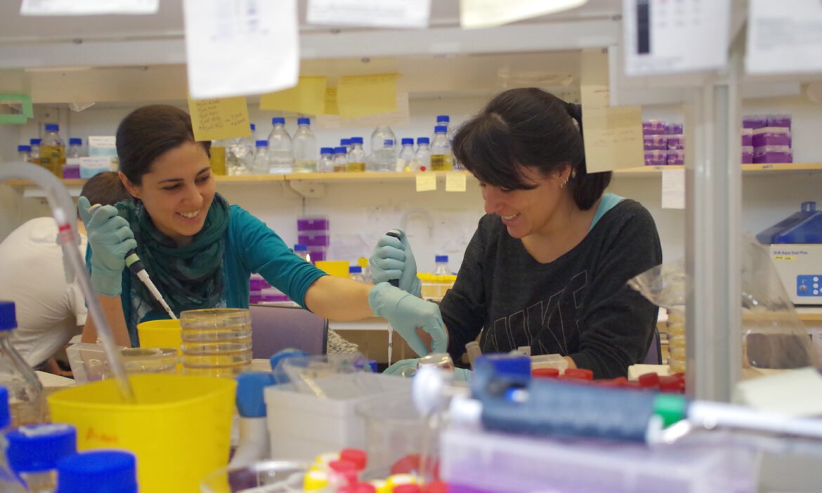 Studie avslöjar ny skyddsmekanism i bakteriens cellvägg