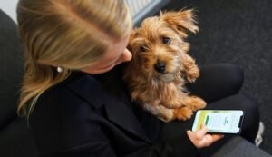 Sveland startar sjukvårdsrådgivning för djur i egen regi