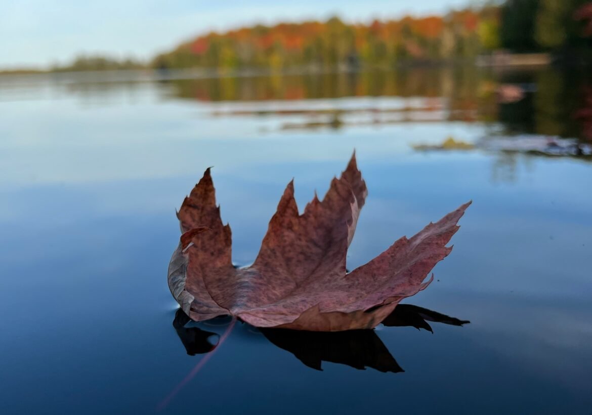 5 års spelfrihet tack vare behandling, självhjälpsgrupper och ett nytt livsperspektiv