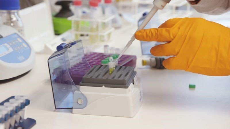 Neogap Therapeutics inleder samarbete med NorthX Biologics för att utveckla skalbar tillverkning av sin innovativa cellterapi mot cancer