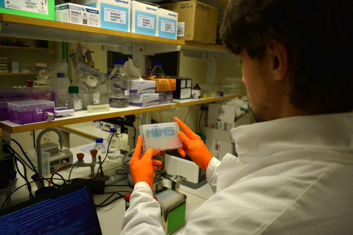 DNA i immunförsvaret kan möjliggöra skräddarsydda behandlingar