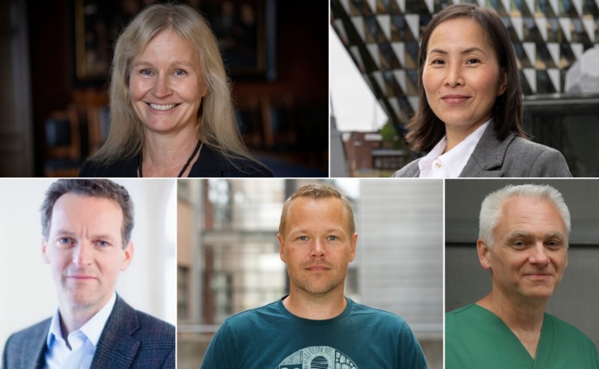 Fyra utvalda pilotprojekt får nyckelroll i BRIDGE Sweden