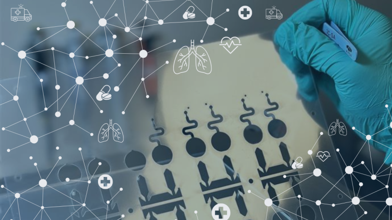 Capitainer deltar i globalt AI-projekt för avancerad lungdiagnostik