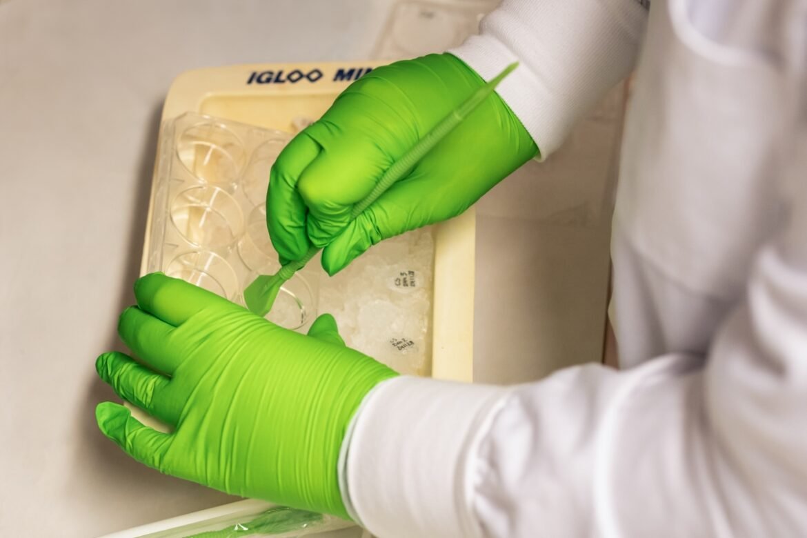 Forskning om kronisk njursjukdom får stöd från IngaBritt och Arne Lundbergs forskningsstiftelse