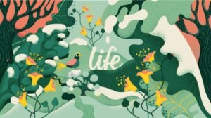 Life lanserar nytt kommunikationskoncept med illustrationer av Henrietta Nyvang