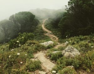 Från återfall till framgång