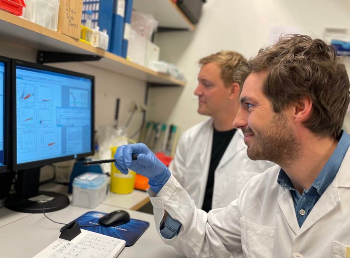 Cancerforskning i Lund mot aggressiva leukemier