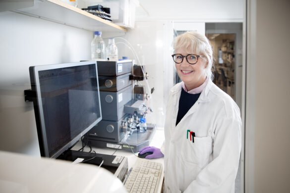 Succémässan i Umeå växer: "Blev fulltecknad nästan direkt"