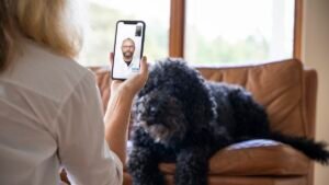 Omstrukturering av djursjukvården med digital rådgivning