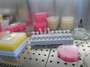 2 av 3 biotechbolag som satsar på AI rapporterar bättre marginaler