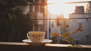 Grönt te-antioxidant och vitamin B3 visar lovande resultat mot Alzheimersrelaterad cellförsämring