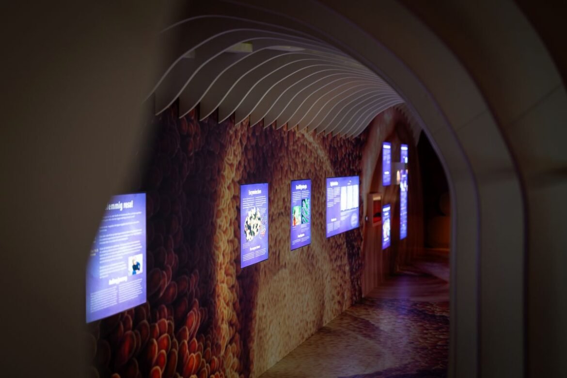 Universeum får forskningsanslag för ny lärstation inom rörelseteknik