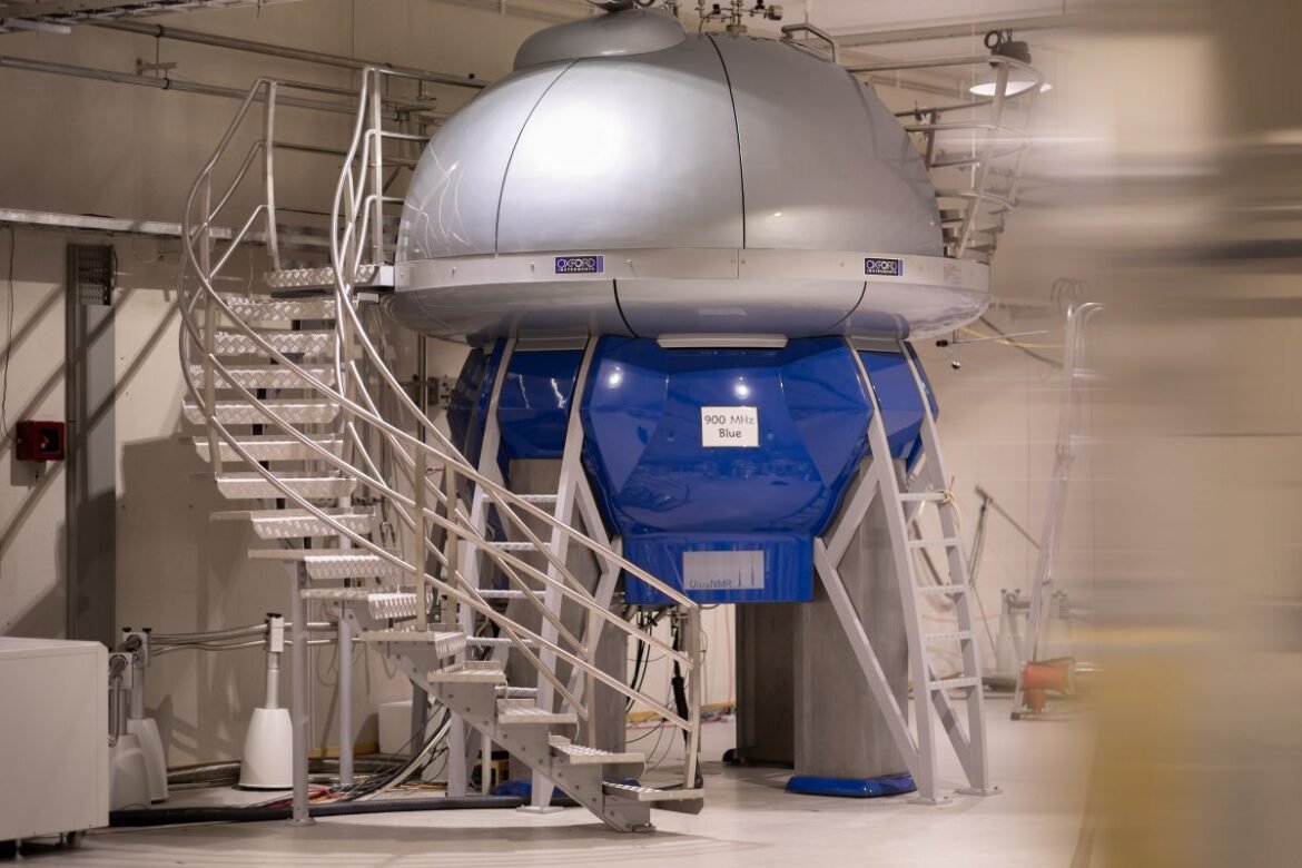 Forskningsanslag till projekt som kartlägger proteiners holistiska bild