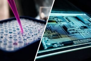 851df8246c10649d org ssddsfes