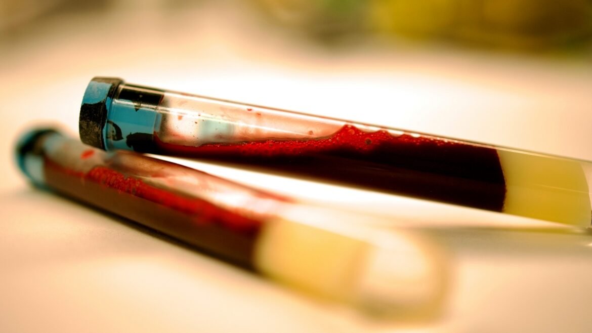 9b24c57e90e15702 org sfsdsf