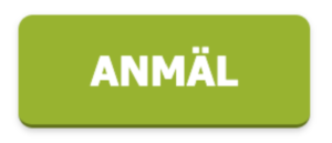 Skärmbild 2026 01 16 132520 Skärmbild 2026 01 16 132520