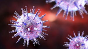 a4cc4e37631b75eb org