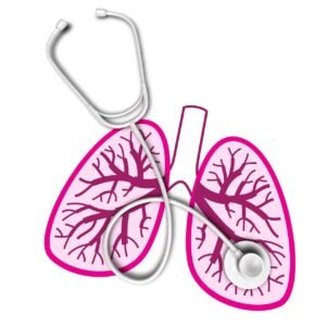 lungs 9233777 1280