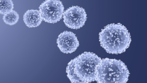 98be40ae6083bb98 org