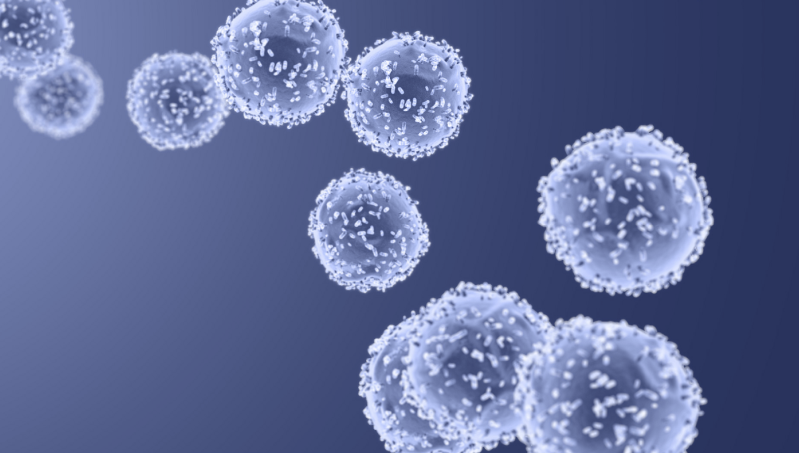 98be40ae6083bb98 org