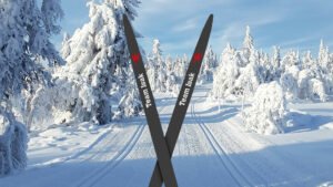 Skidor Hjärnfonden 1 1920