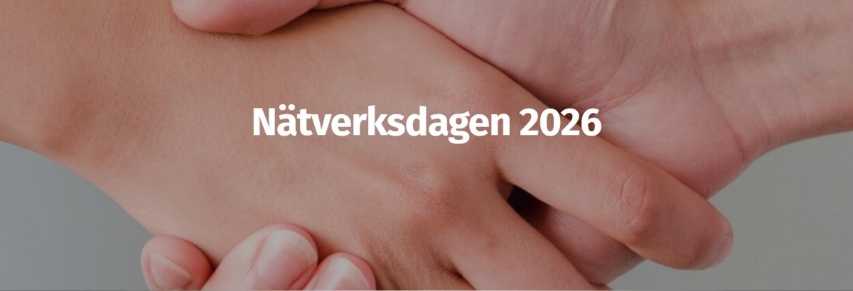 Skärmbild 2026 03 31 102517 er