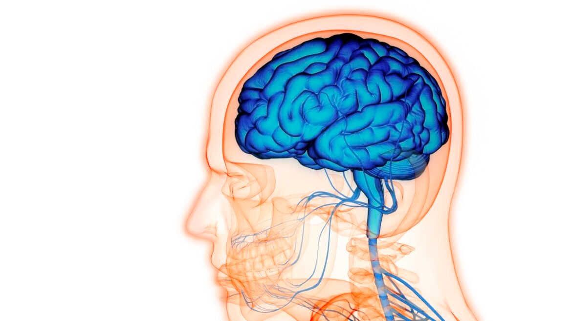 a91d8e41242a1290 org sedswdsw