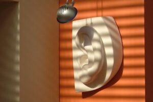 films42 michelangelos david ear 650499 1280