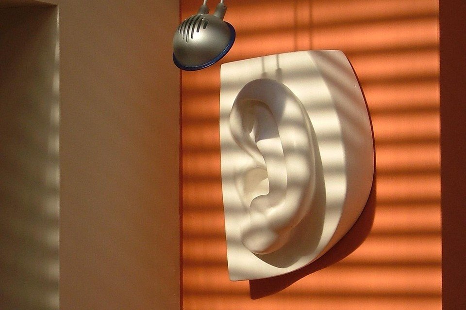 films42 michelangelos david ear 650499 1280