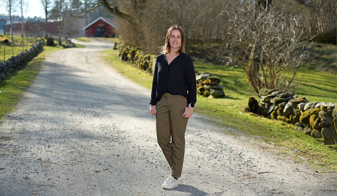 263 1168 1200x700 px