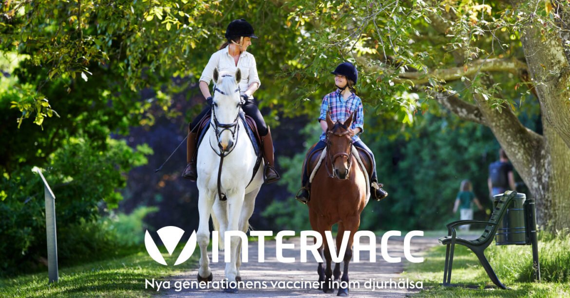 Intervacc ansöker hos EMA om utvidgat godkännande för Strangvac till att gälla 12 månaders immunitet