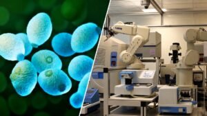 Från hypotes och experiment till nya upptäckter – autonom AI sköter forskningen själv